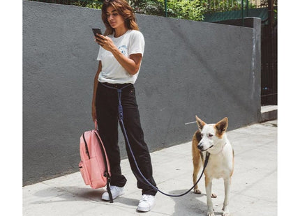 Correa manos libres para perro Zeedog Gotham