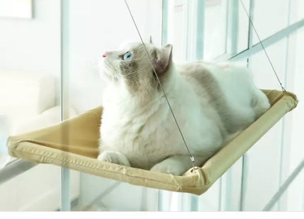 Cucha Cama Gato Aérea Mascotas Para Ventana Ventosa Cómoda