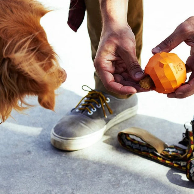 Juguete para perro Zeedog Fruitz naranja dispensador
