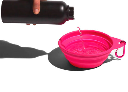 Go Bowl Plegable zeedog para perros color rosado