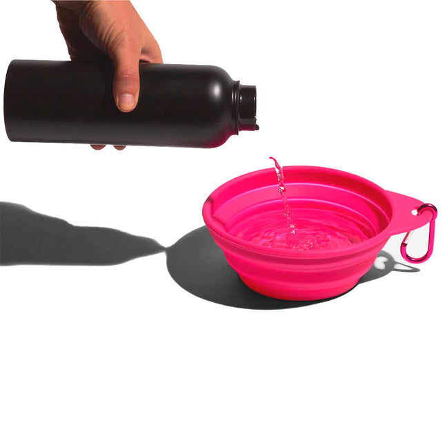 Go Bowl Plegable zeedog para perros color rosado