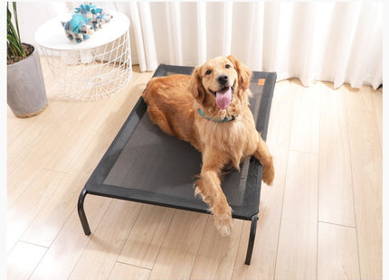 Cama Cucha Catre Elevada Perro Mascotas