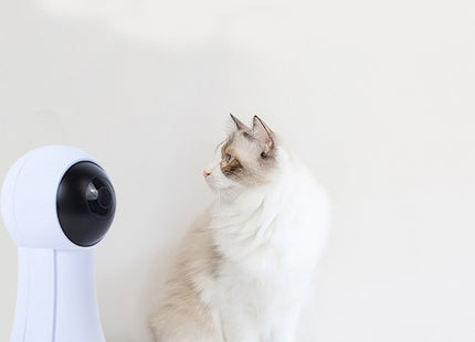 Juguete interactivo rayo laser para gato