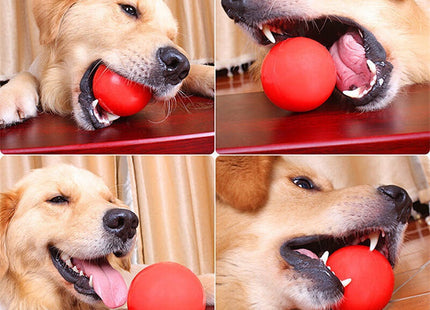 Juguete Pelota Maciza De Goma Para Perro