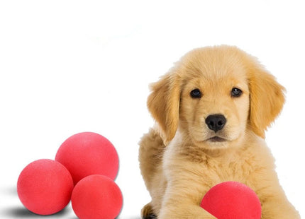 Juguete Pelota Maciza De Goma Para Perro
