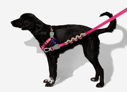 Correa perro Zeedog Yucca Ruff Leash anti tiro