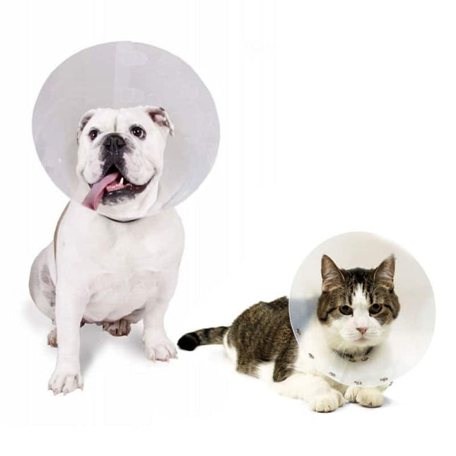 Collar isabelino para perro o gato tamaño regulable