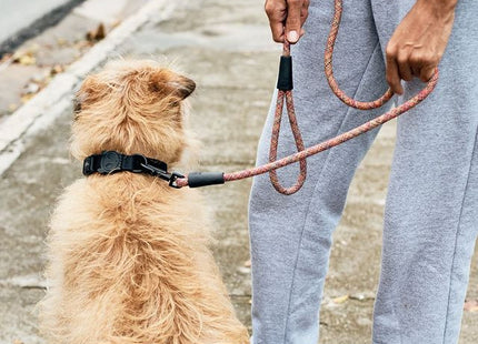 Correa de entrenamiento para perro Zeedog vortex