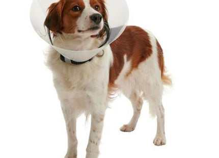 Collar isabelino para perro o gato tamaño regulable
