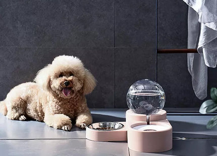Plato comedero con dispensador de agua 1.8 litros