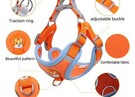 Conjunto pechera y correa para perro o gato