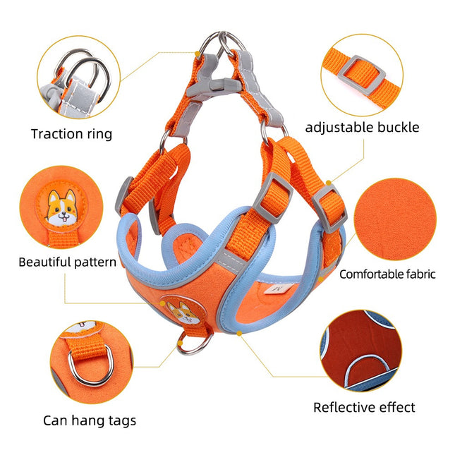 Conjunto pechera y correa para perro o gato