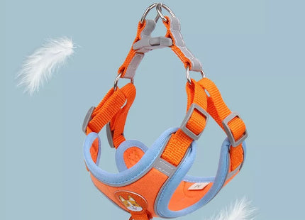 Conjunto pechera y correa para perro o gato