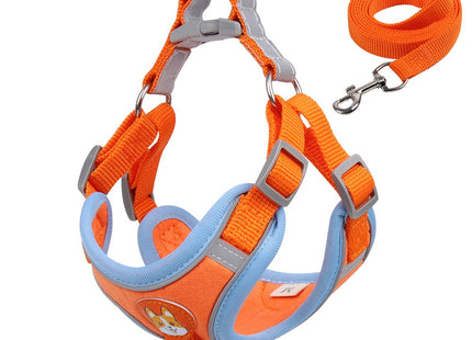 Conjunto pechera y correa para perro o gato