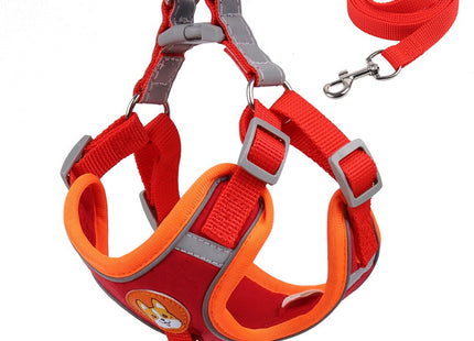 Conjunto pechera y correa para perro o gato