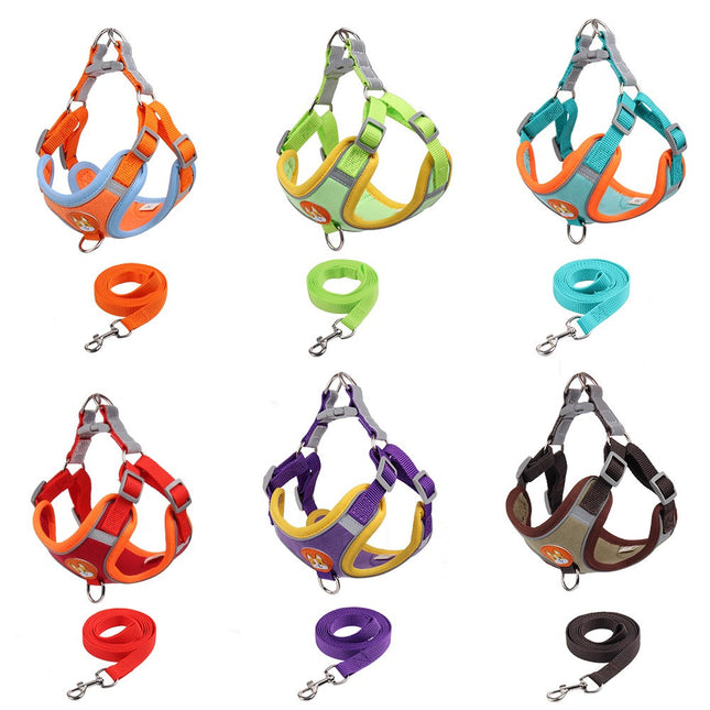 Conjunto pechera y correa para perro o gato