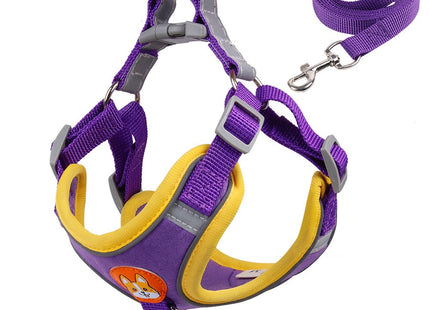 Conjunto pechera y correa para perro o gato