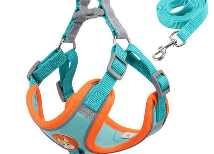 Conjunto pechera y correa para perro o gato