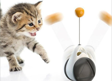 Juguete interactivo rueda para gato