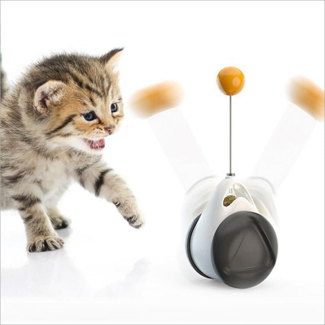 Juguete interactivo rueda para gato