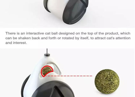 Juguete interactivo rueda para gato