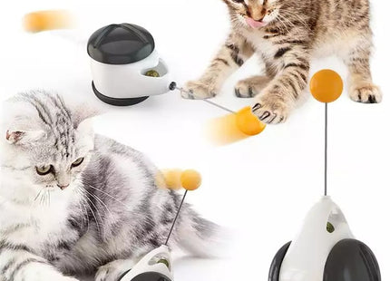 Juguete interactivo rueda para gato