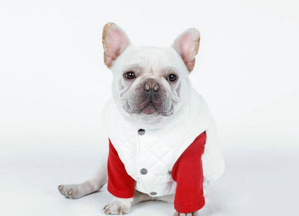 Buzo Chaleco Con Botones Para Perro