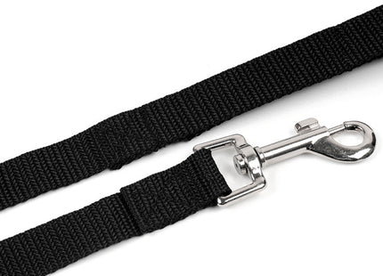 Correa de cinta para mascotas: 3, 5 y 10 metros x 2.5 cm de ancho