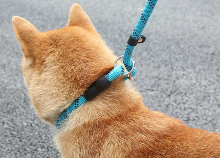 Correa reflectiva con ahorque para perro largo 1.5 M