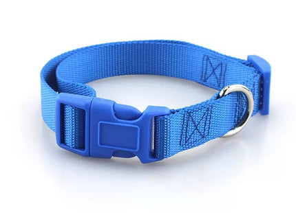 Collar simple con broche para perro o gato
