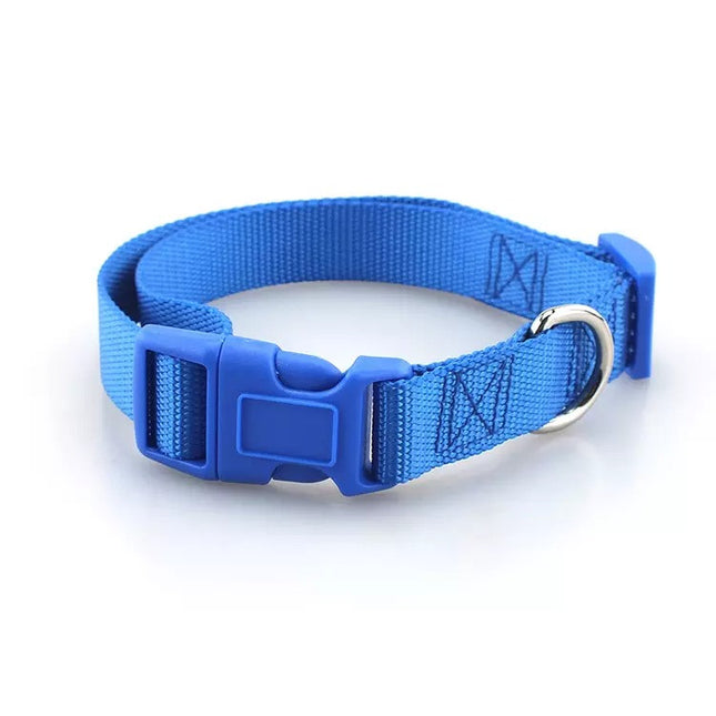 Collar simple con broche para perro o gato