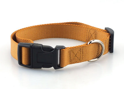 Collar simple con broche para perro o gato