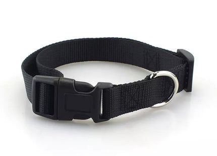 Collar simple con broche para perro o gato