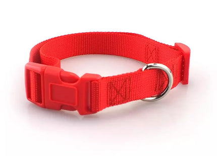 Collar simple con broche para perro o gato