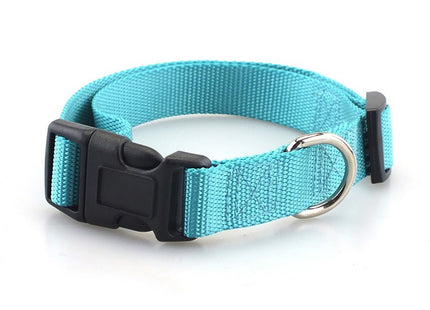 Collar simple con broche para perro o gato
