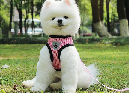 Pechera tipo malla reflectiva para mascotas
