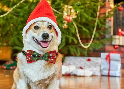 Pañuelo Bandana Para Perro Motivo Navideño