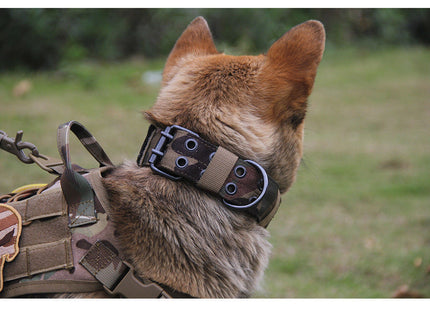 Collar Táctico De Entrenamiento Para Perro