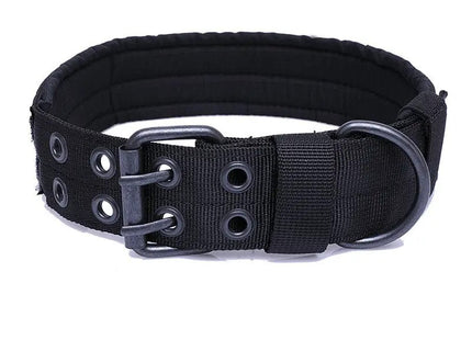 Collar Táctico De Entrenamiento + Correa Para Perro