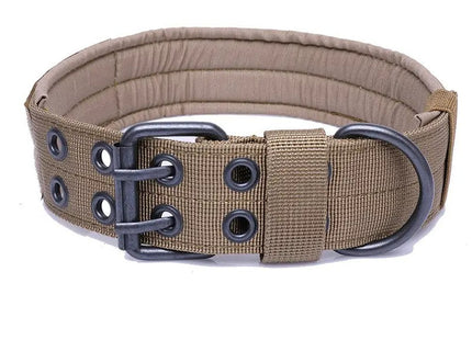 Collar Táctico De Entrenamiento + Correa Para Perro