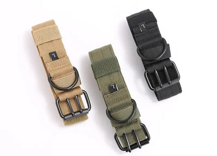 Collar Táctico De Entrenamiento + Correa Para Perro