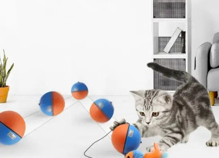 Juguete Para Gato Pelota Movimiento Con Pila AA