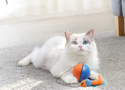 Juguete Para Gato Pelota Movimiento Con Pila AA