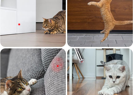 Juguete Para Gato Puntero Laser