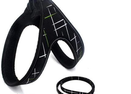 Conjunto De Arnes Y Correa Para Perro