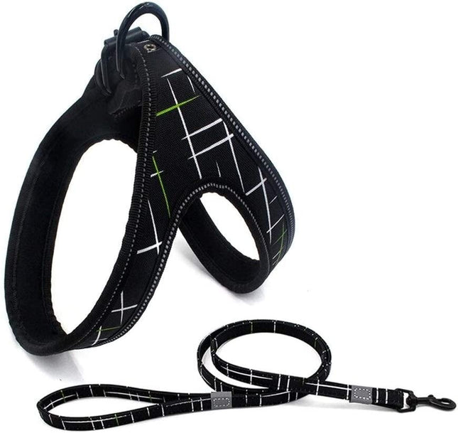 Conjunto De Arnes Y Correa Para Perro