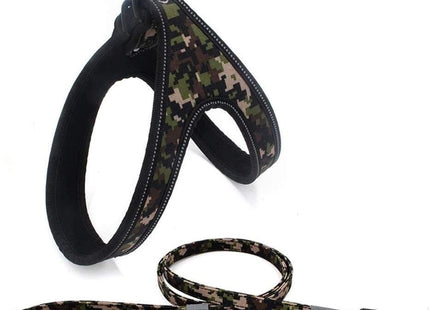 Conjunto De Arnes Y Correa Para Perro