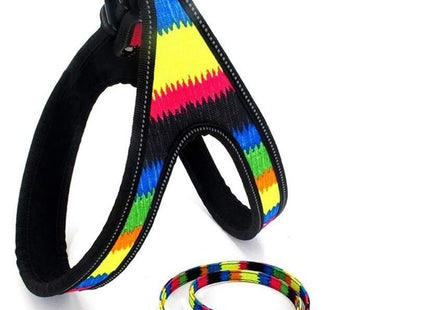 Conjunto De Arnes Y Correa Para Perro
