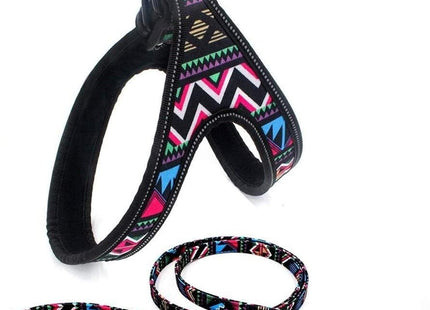 Conjunto De Arnes Y Correa Para Perro