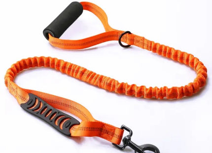 Correa Elástica Extensible Para Perro 120-180 Cm